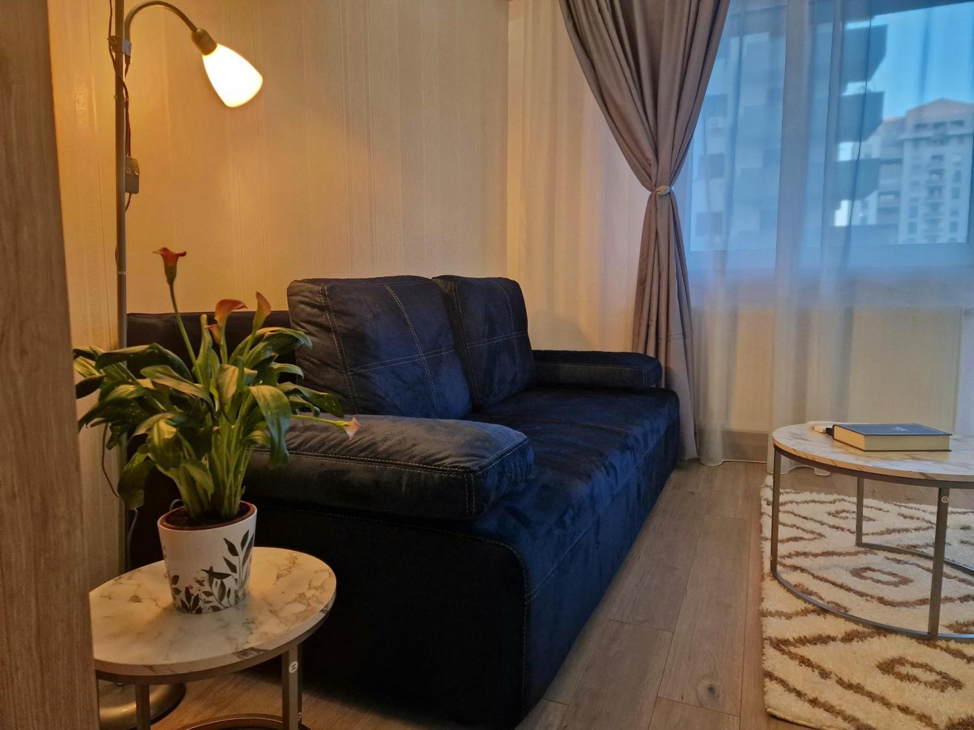 Studio&Garden! Roşu Esterno foto